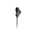 Pente Funil 04.webp