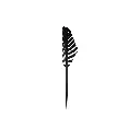 Pente Funil 02.webp