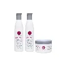 Berrywell Color Protection Kit