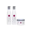 Berrywell Shine Kit